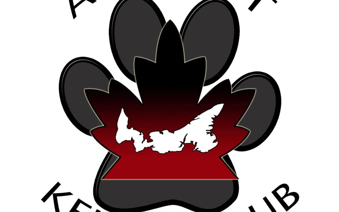 Abegweit Kennel Club Dog Show