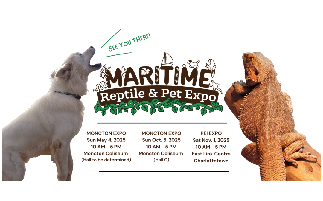 Maritime Reptile and Pet Expo