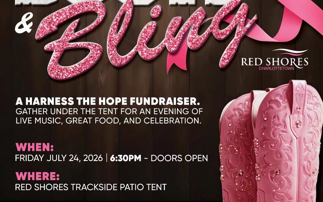 Boots & Bling: A Harness The Hope Fundraiser